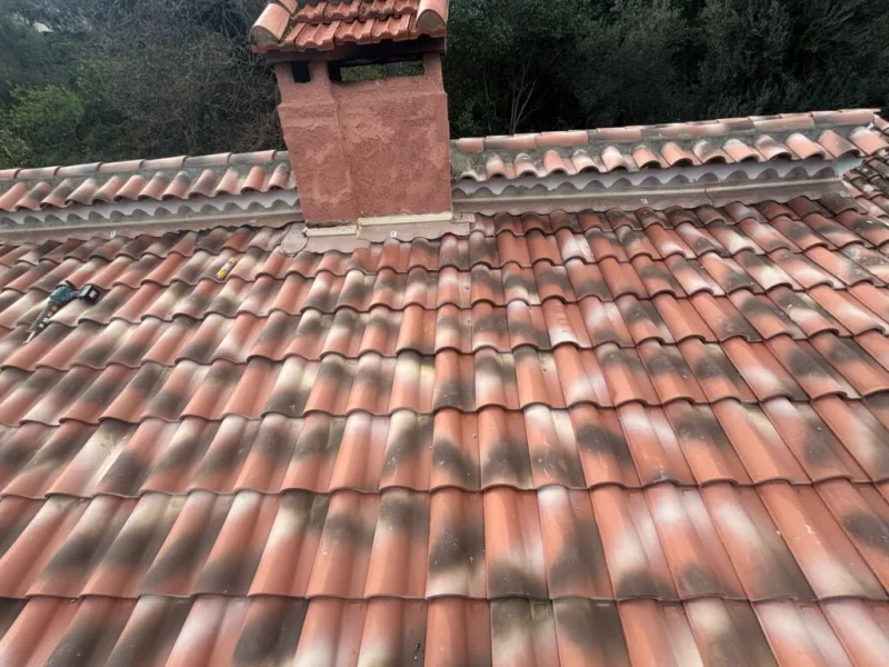 Ramonage à La Seyne-sur-Mer